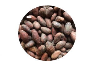 Bean to Bar チョコレート（ニカラグア カカオ73%）